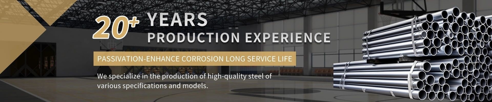 Steel Coil/Strip