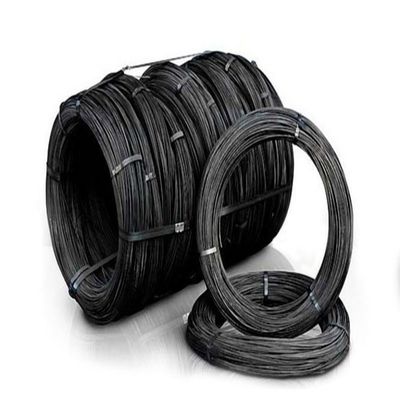 Prime Hot Rolled Steel Wire Rod with 1% Tolerance and CFR Payment Term
