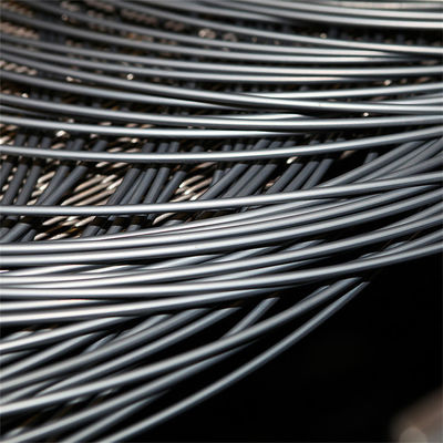Low Carbon Rod Hot Rolling Stainless Steel ASTM/AISI/JIS/GB/DIN/En Phosphating Metal Wire