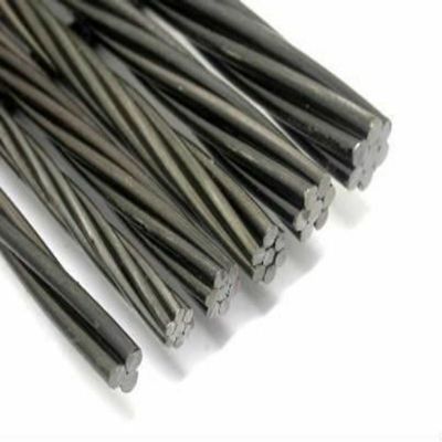 Stainless Steel Wire Rope 1*7 7*7 1*19 7*19 6*12 6*19 FC Iwrc Galvanized Elevator TPU/PVC Customization