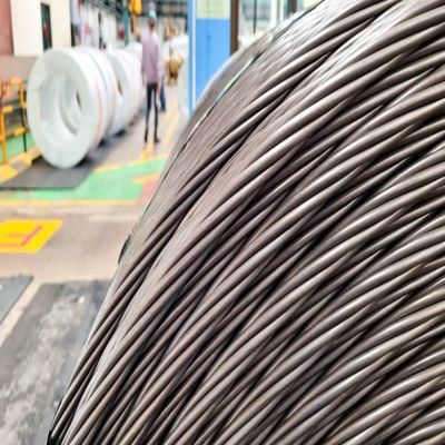 Galvanized Wire Phosphating Surface 1*7 7*7 1*19 7*19 Round Strand Steel Wire Rope