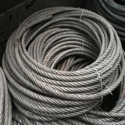 1*7 7*7 1*19 7*19 Galvanized Steel Wire Rope with ISO Certification and Oiled Surface
