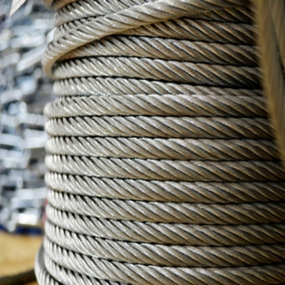 Customized Request No Problem Choose from Galvanized Stainless Steel or Iron Wire Rope